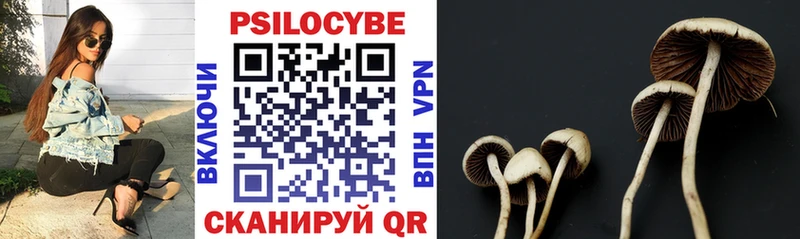 Галлюциногенные грибы мухоморы  blacksprut вход  Катав-Ивановск  цены  