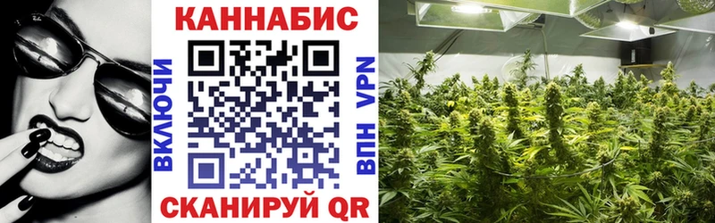 Бошки Шишки планчик  цена наркотик  omg сайт  Катав-Ивановск 